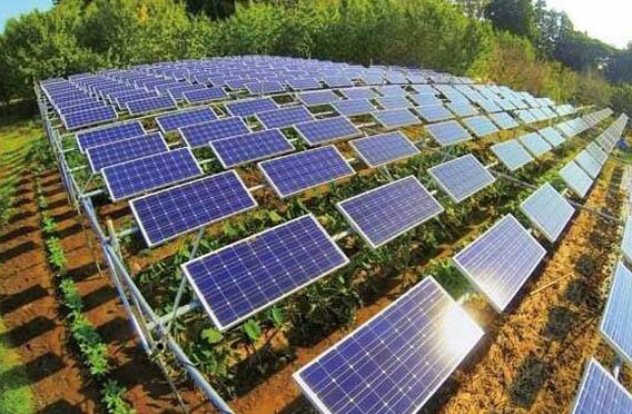 建設(shè)農(nóng)光互補(bǔ)光伏電站有什么好處？