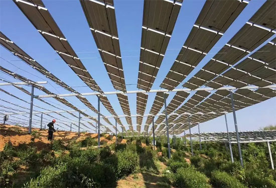 農(nóng)光互補和林光互補有什么區(qū)別？