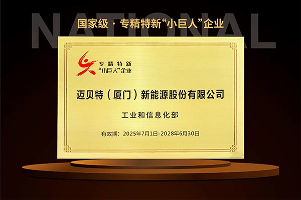 國家級專精特新“小巨人”企業(yè)獎牌